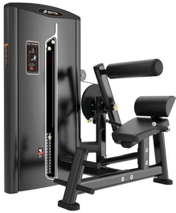 BF18 - Back Extension
